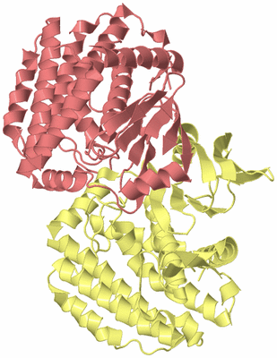 Image Biological Unit 4