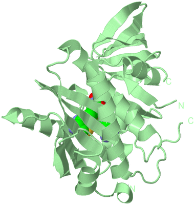 Image Biological Unit 2