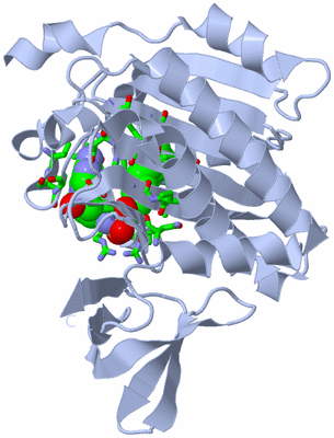 Image Biol. Unit 1 - sites