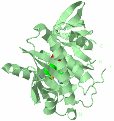 Image Biological Unit 2