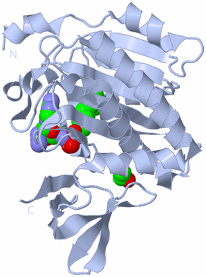 Image Biological Unit 1