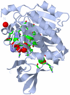 Image Biol. Unit 1 - sites