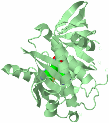 Image Biological Unit 2