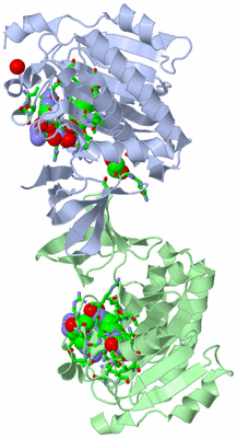 Image Asym. Unit - sites