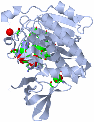 Image Biol. Unit 1 - sites