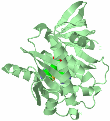 Image Biological Unit 2