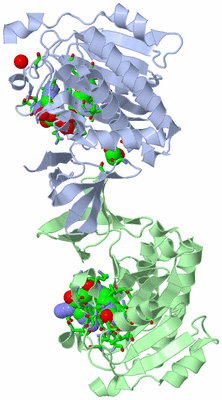 Image Asym. Unit - sites