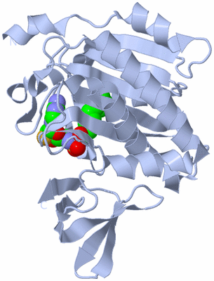 Image Biological Unit 1