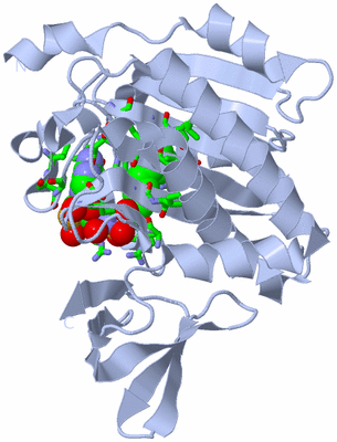 Image Biol. Unit 1 - sites