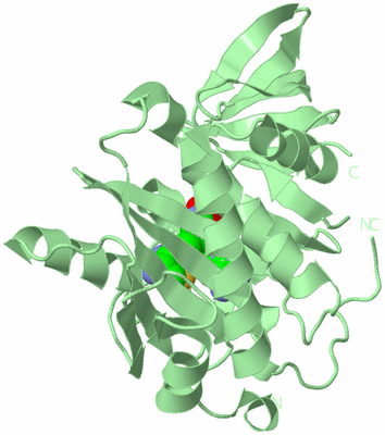 Image Biological Unit 2