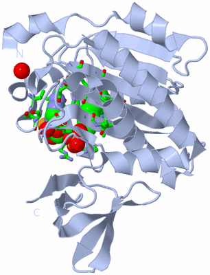 Image Biol. Unit 1 - sites