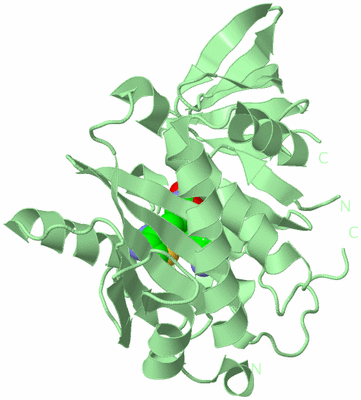 Image Biological Unit 2