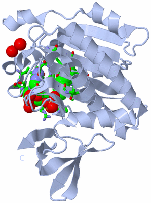 Image Biol. Unit 1 - sites