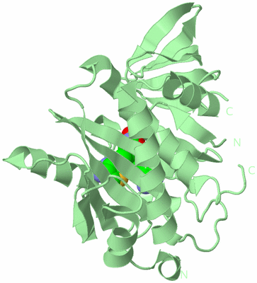 Image Biological Unit 2