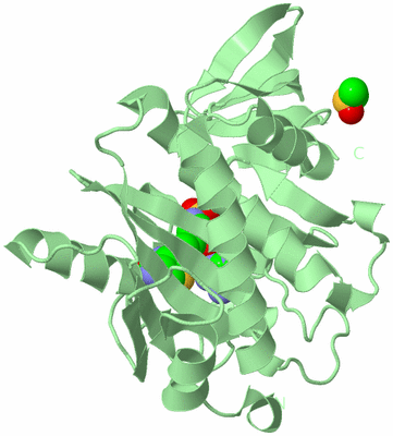 Image Biological Unit 2