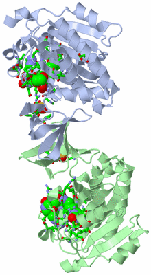 Image Asym. Unit - sites