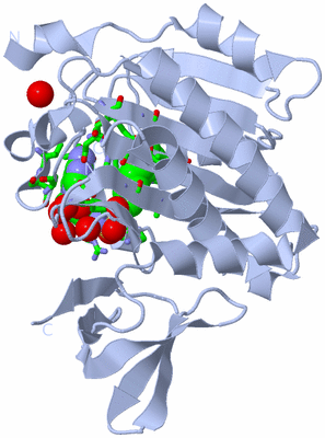 Image Biol. Unit 1 - sites