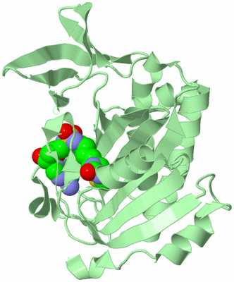 Image Biological Unit 2