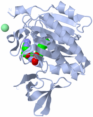 Image Biological Unit 1