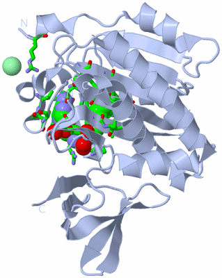 Image Biol. Unit 1 - sites