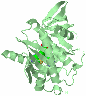 Image Biological Unit 2