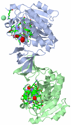 Image Asym. Unit - sites