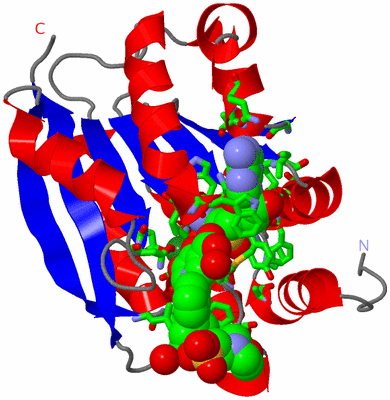 Image Asym./Biol. Unit - sites