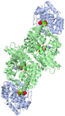 Image Biological Unit 1