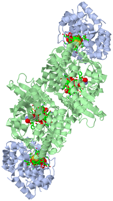 Image Biol. Unit 1 - sites