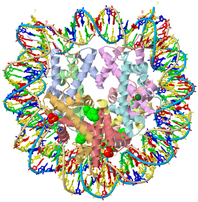 Image Asym./Biol. Unit - sites