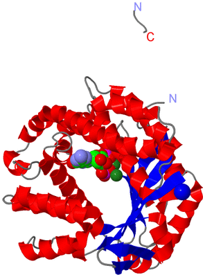 Image Asym./Biol. Unit