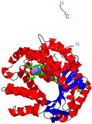 Image Asym./Biol. Unit - sites