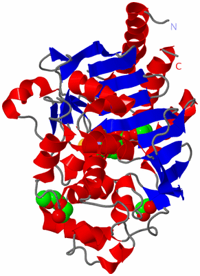 Image Asym./Biol. Unit