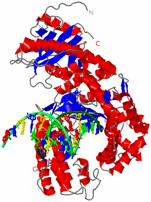 Image Asym./Biol. Unit