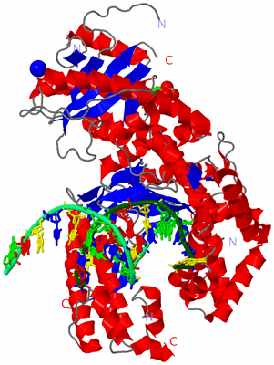 Image Asym./Biol. Unit