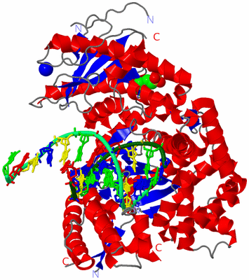 Image Asym./Biol. Unit