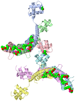 Image Asymmetric Unit