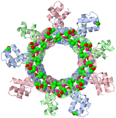 Image Biological Unit 1