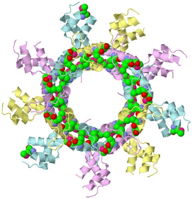 Image Biological Unit 2