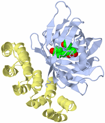 Image Biological Unit 1