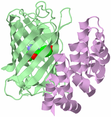 Image Biological Unit 2