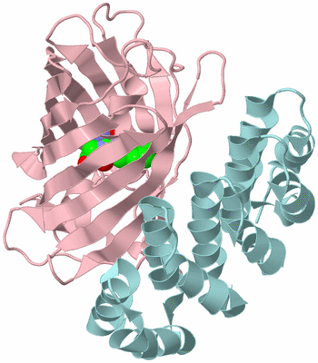 Image Biological Unit 3