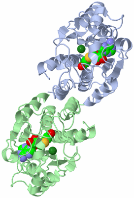 Image Asym./Biol. Unit