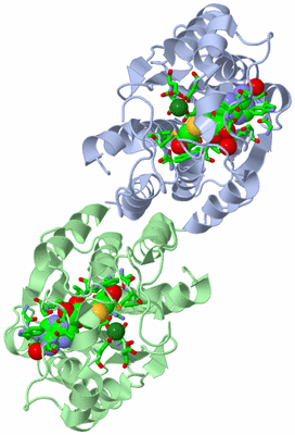 Image Asym./Biol. Unit - sites