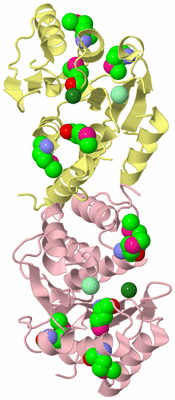 Image Biological Unit 2