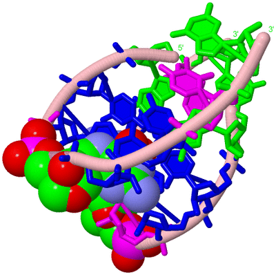 Image Biological Unit 1