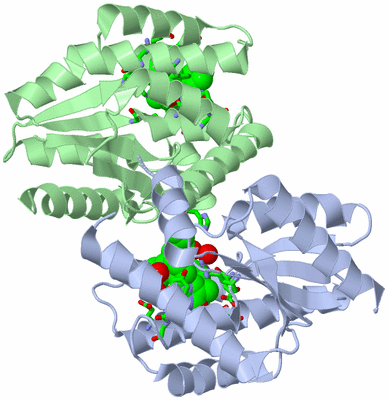 Image Asym./Biol. Unit - sites