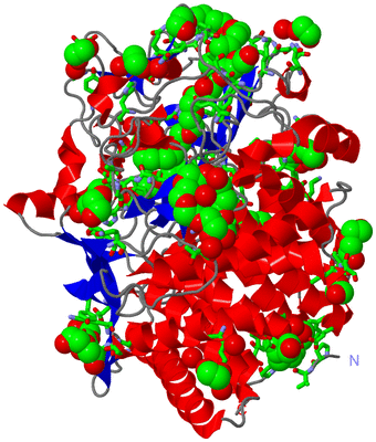 Image Asym./Biol. Unit - sites