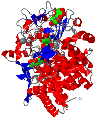 Image Asym./Biol. Unit