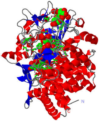 Image Asym./Biol. Unit - sites